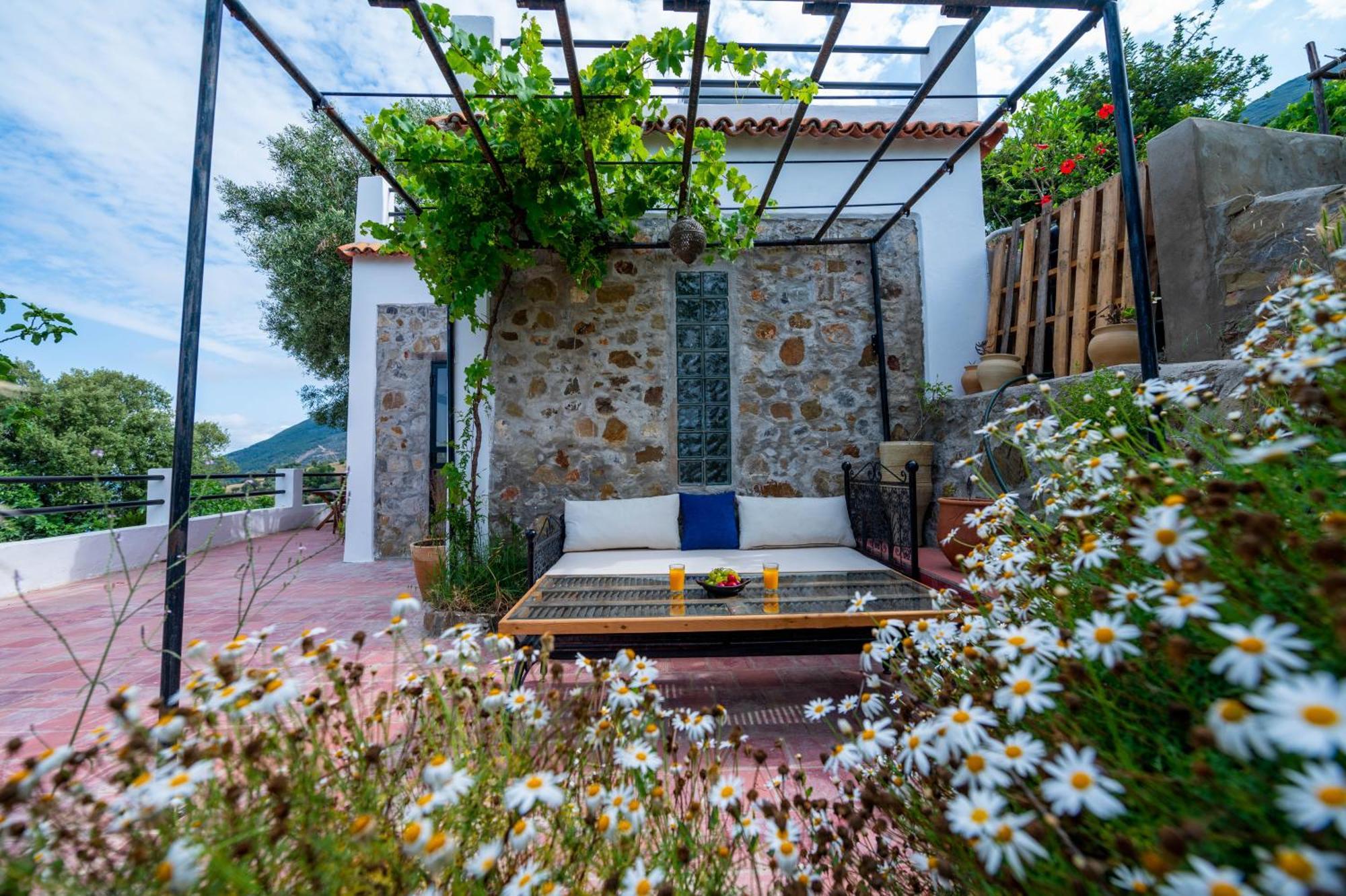 Farm Finn Chefchaouen Εξωτερικό φωτογραφία
